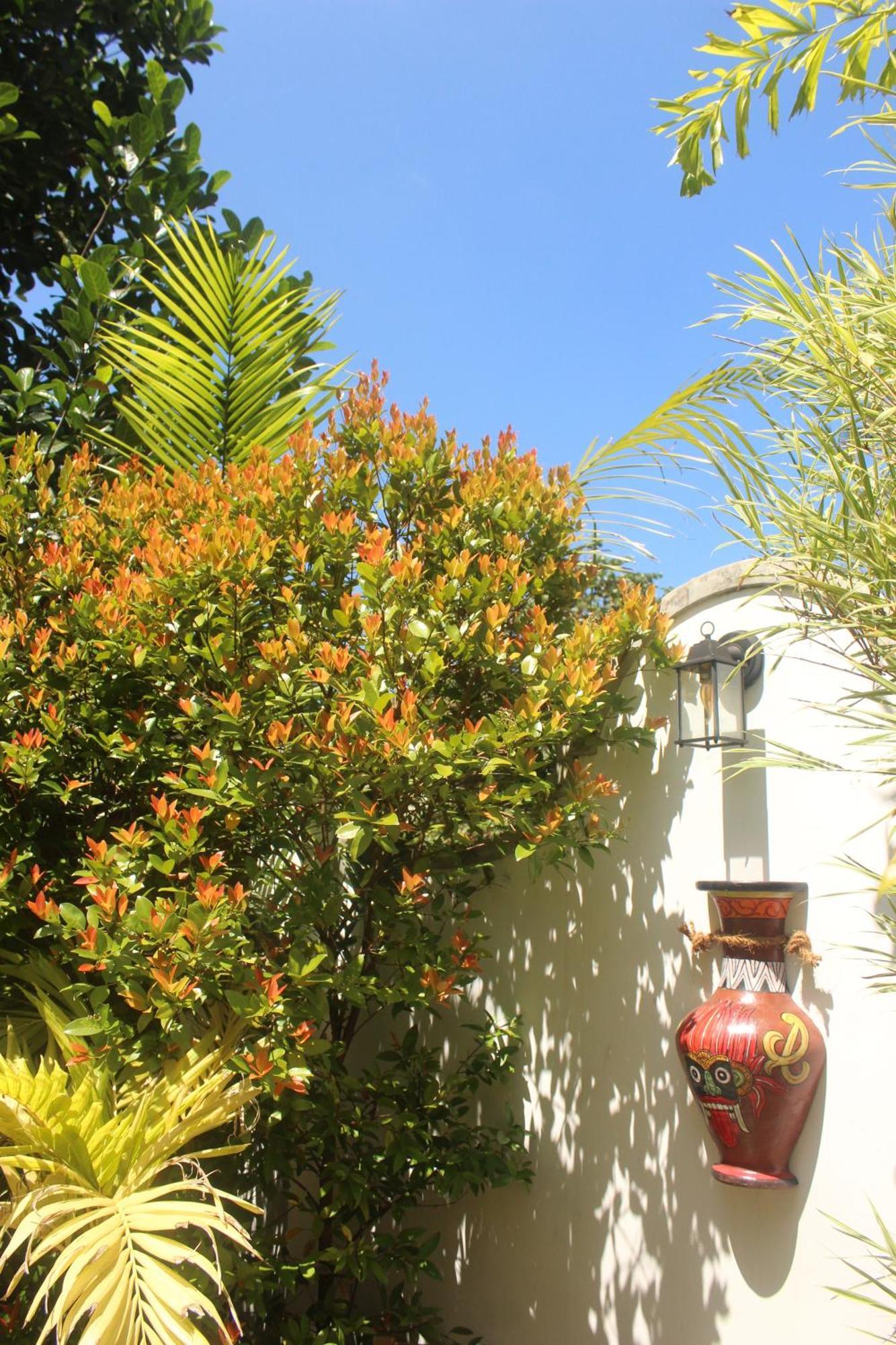 Villa Olde Ceylon Kandy Exteriér fotografie