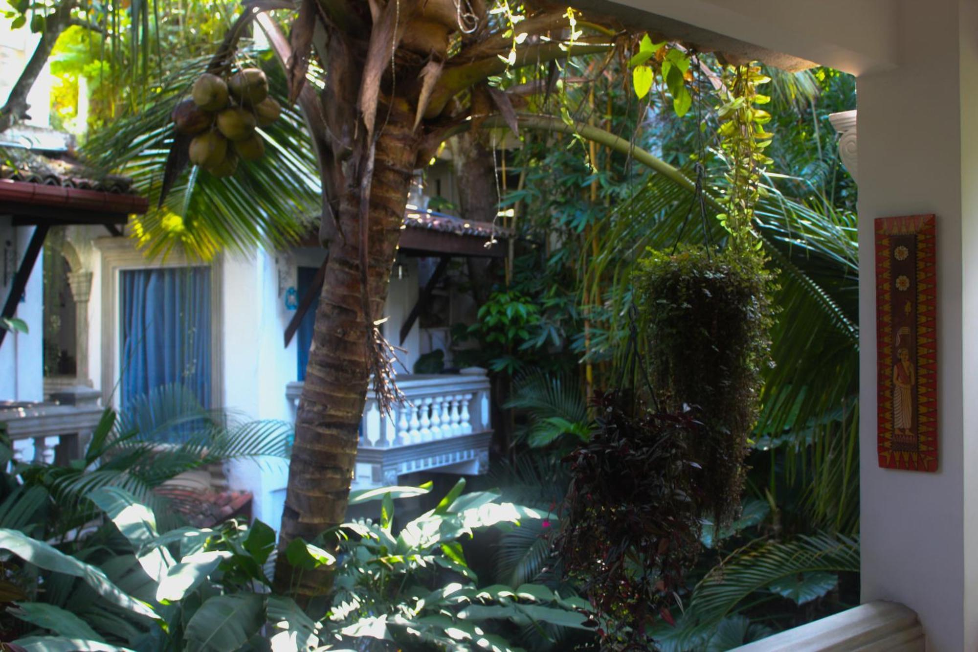 Villa Olde Ceylon Kandy Exteriér fotografie