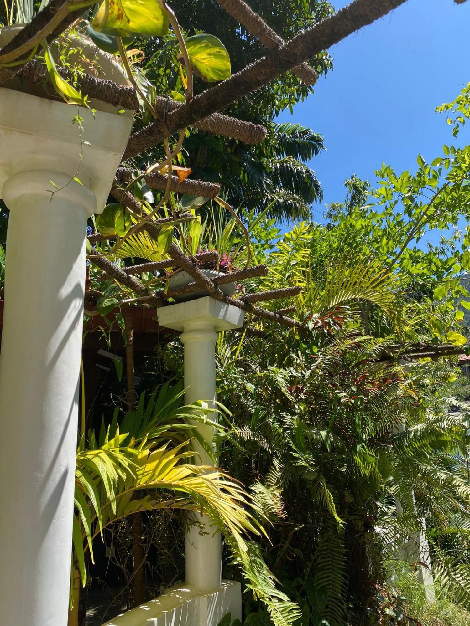 Villa Olde Ceylon Kandy Exteriér fotografie